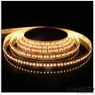 LovasLED LED szalag 24V 19,2W 3000K CRI>95 240LED/m