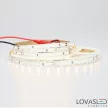 LovasLED LED szalag 24V 12W 4000K CRI>90 60LED/m